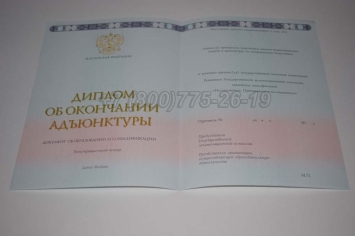 Диплом Адъюнктуры 2024г в Ростове-на-Дону