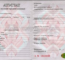 Аттестат о Полном Среднем Образовании Беларуси 2016г в Ростове-на-Дону