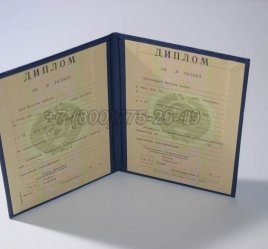 Диплом о Высшем Образовании Украинской ССР в Ростове-на-Дону
